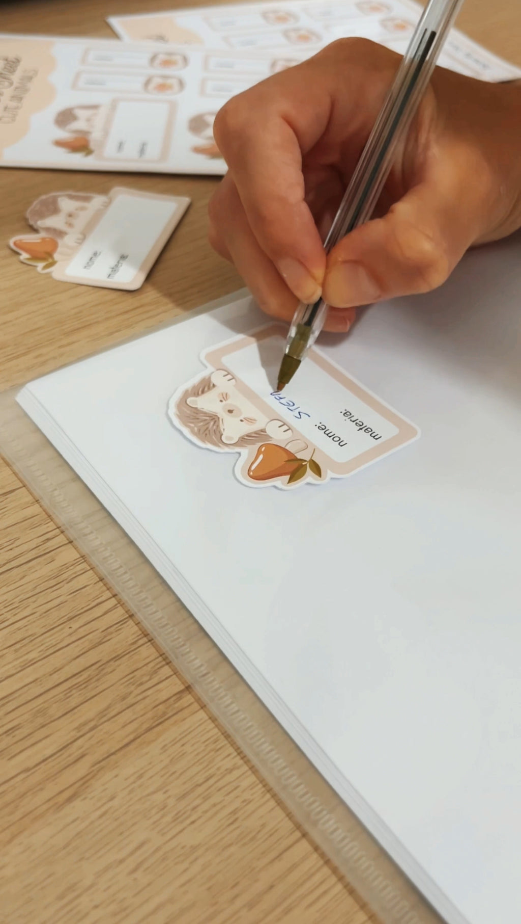 Set 12 Etichette Adesive Scuola - Sticker Sheets Back To School